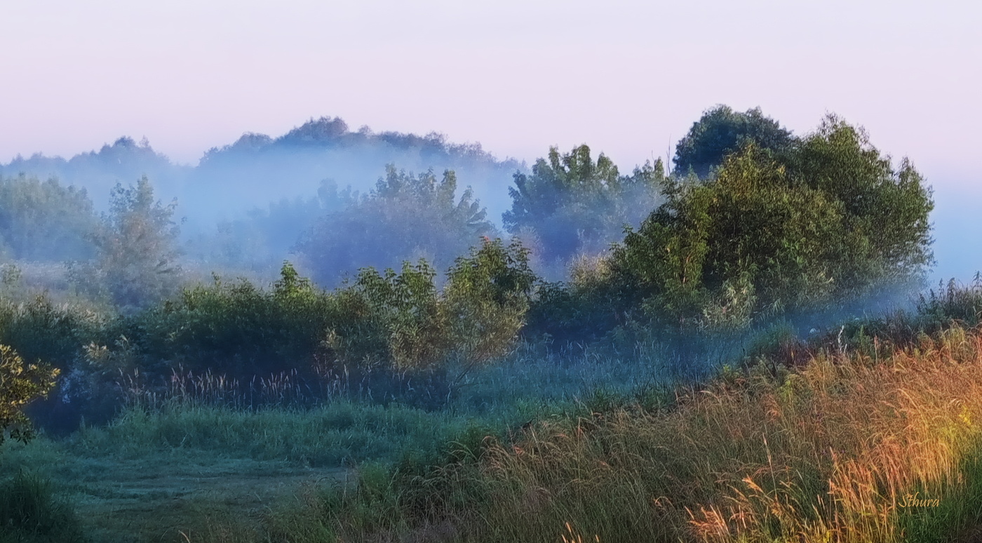 Туман бродит.