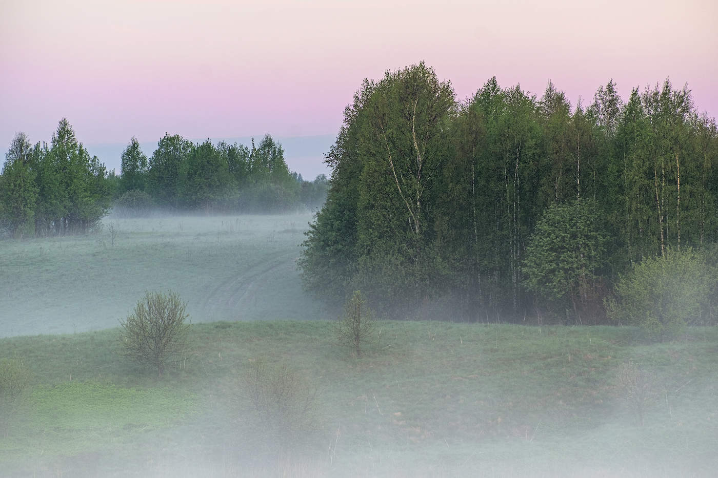 50 оттенков молодой зелени