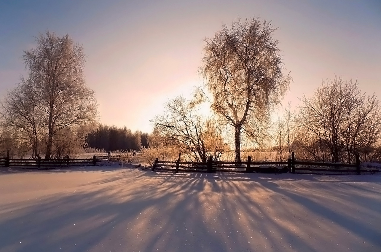 Свет и тени