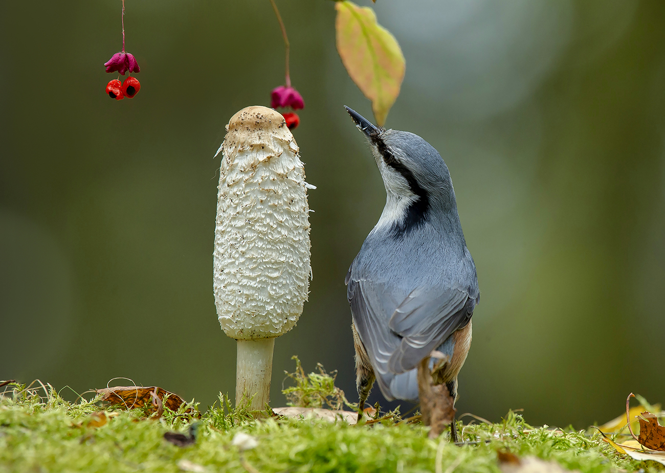Может познакомимся...?