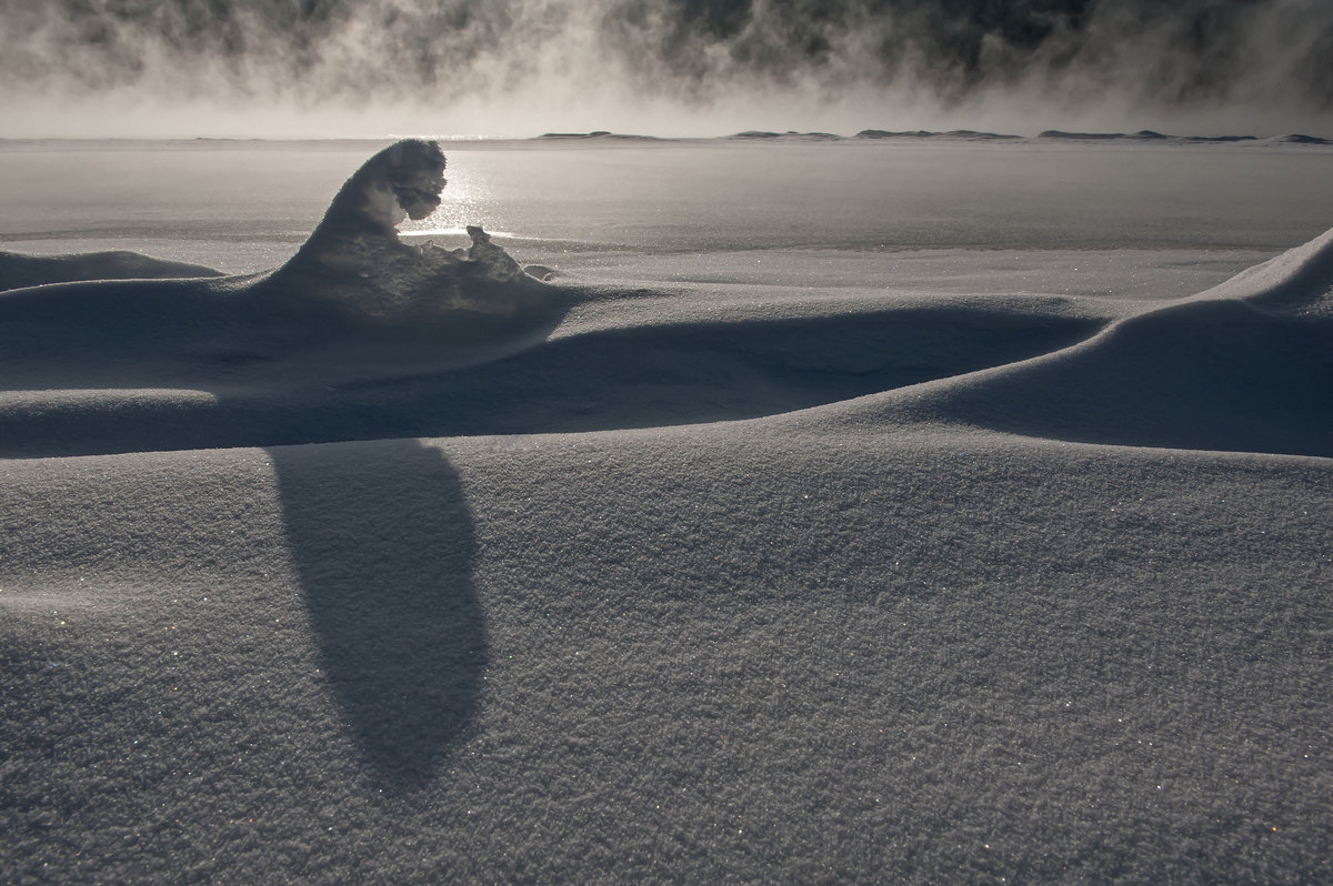 Обоюдный взгляд...
