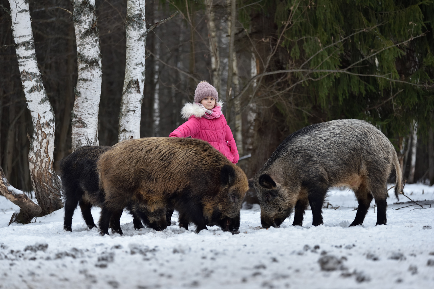 не ходите дети в лес одни гулять...
