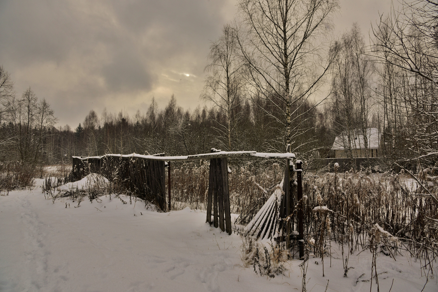 "Я люблю ... когда зима приходит ..."