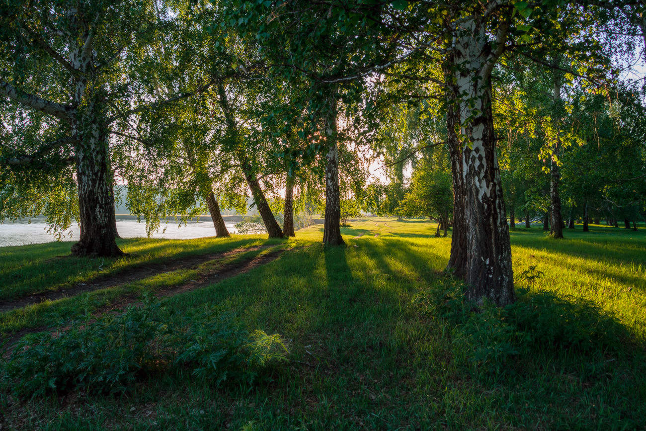 Вспоимная лето