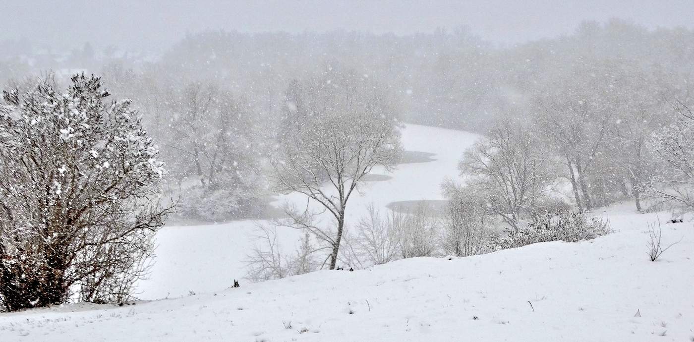 Вот и снегопад