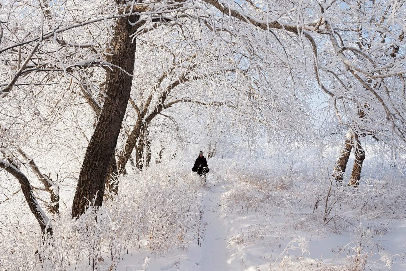 " в зимней паутине"