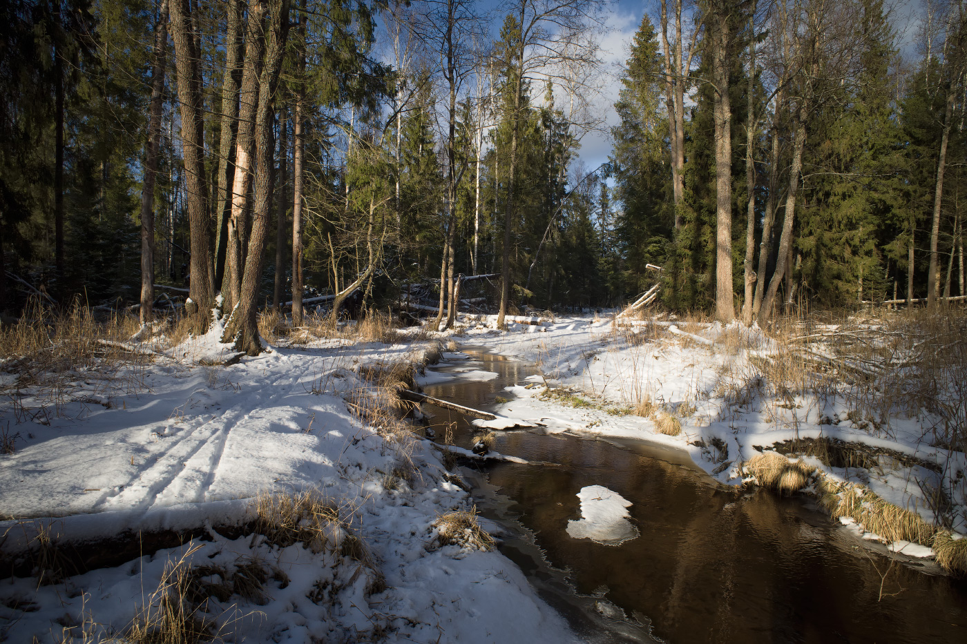 январь похожий на весну