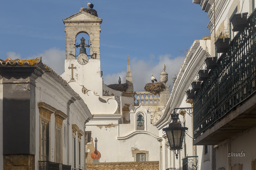 вот такая идиллия