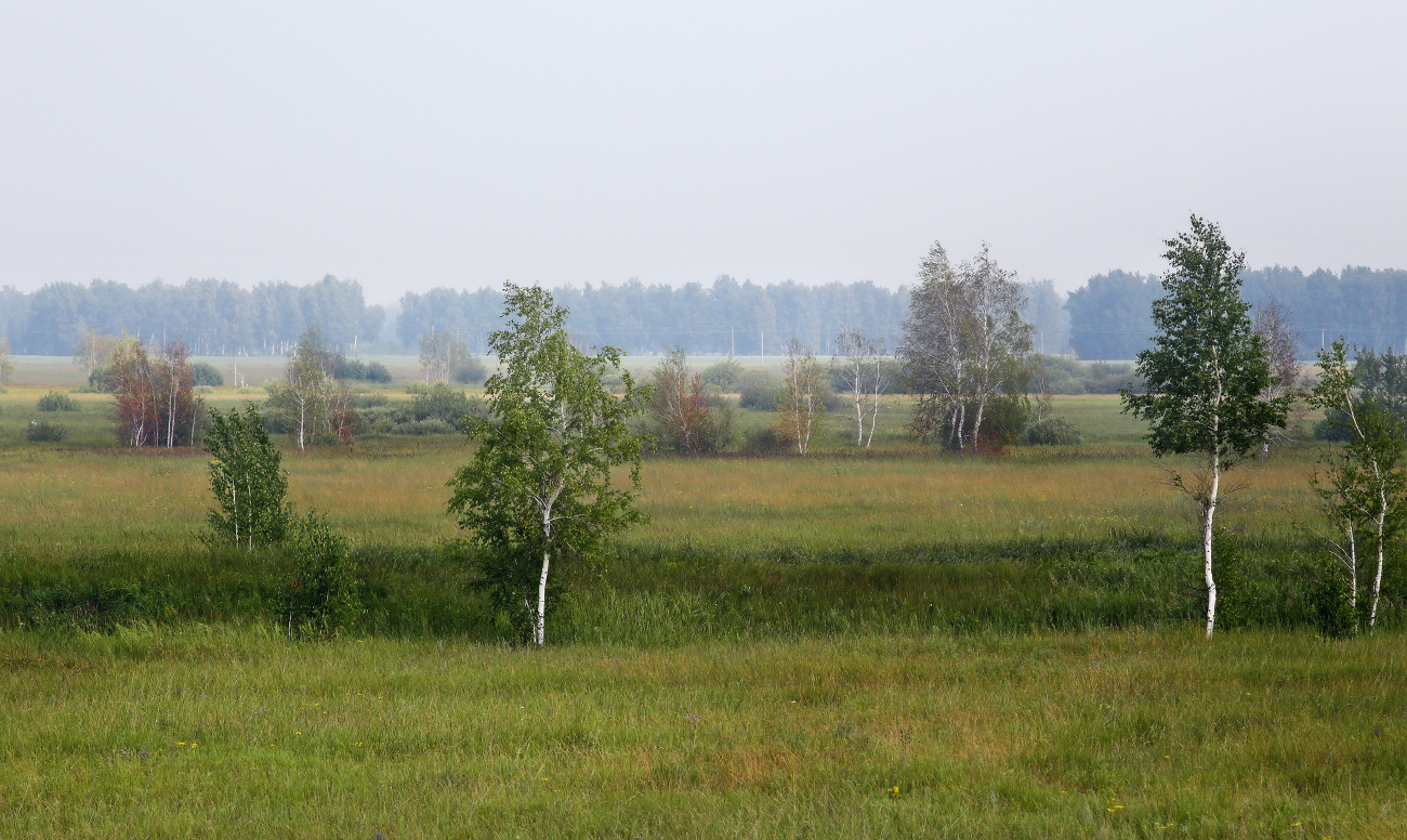 На просторах