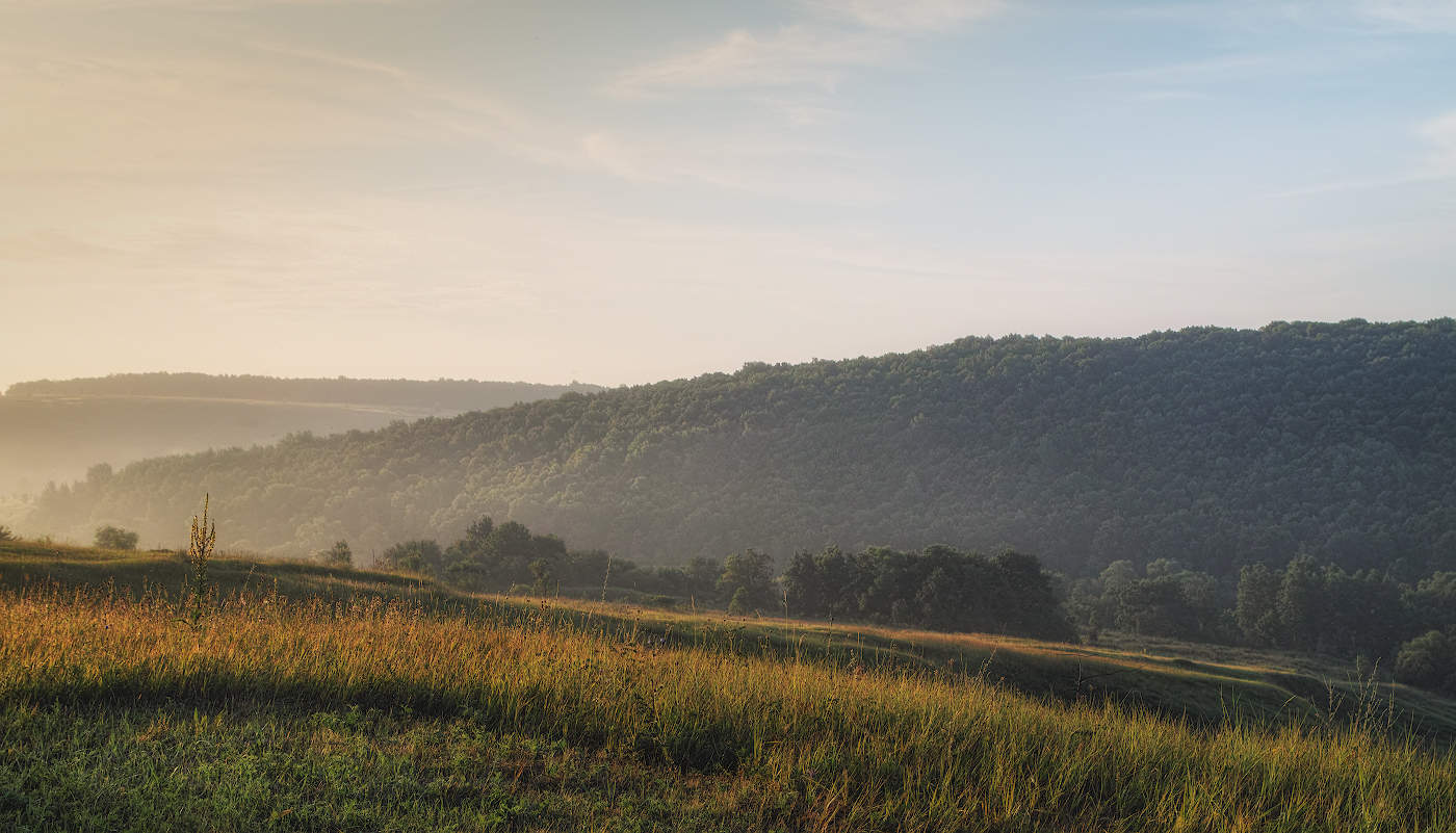 Под утренним солнцем