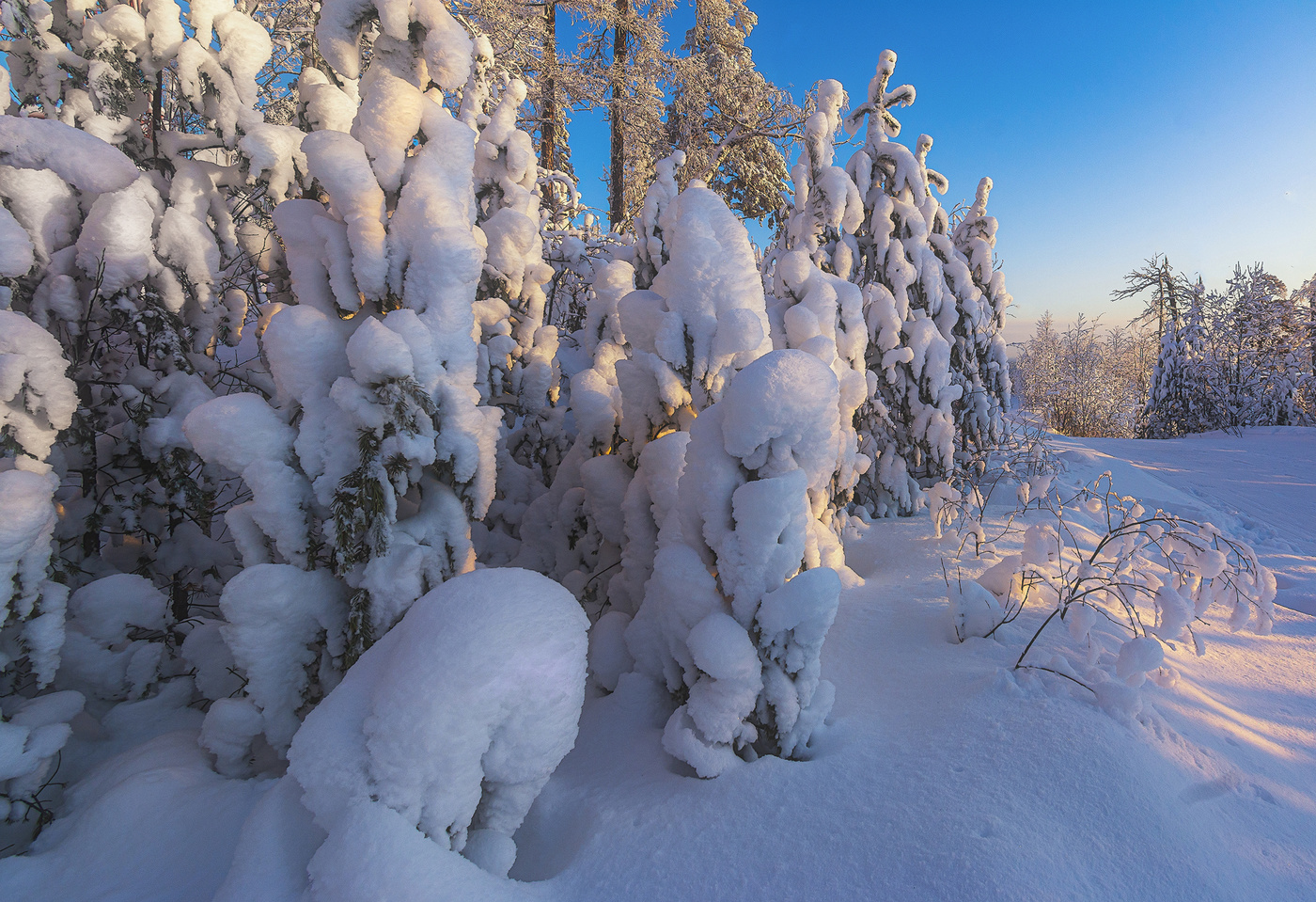 Снежное царство