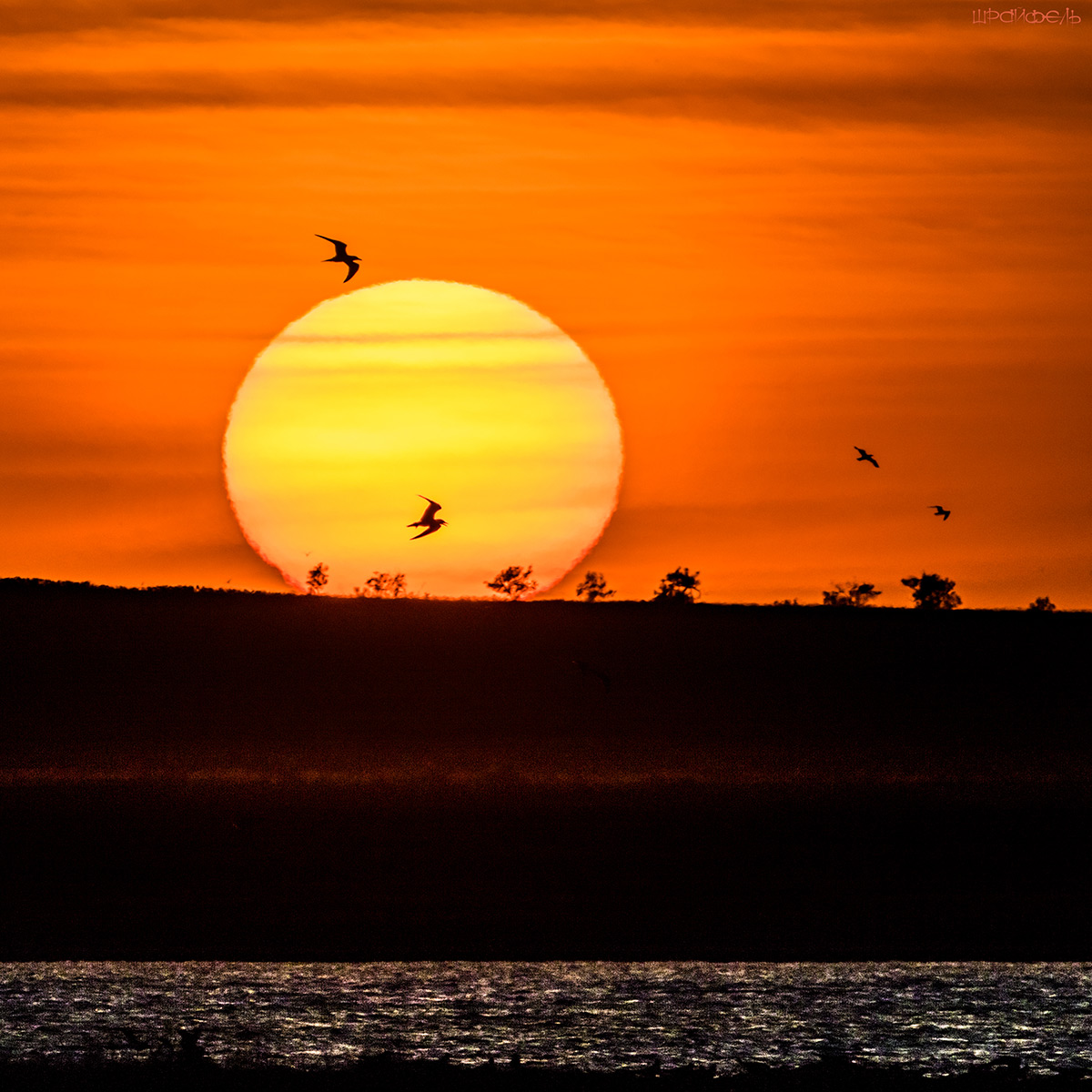 Закат над озером Маныч-Гудило