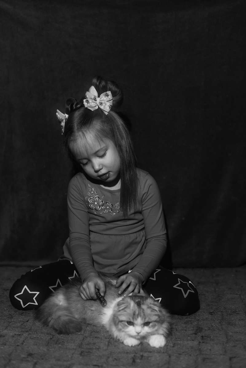 Послушный кот