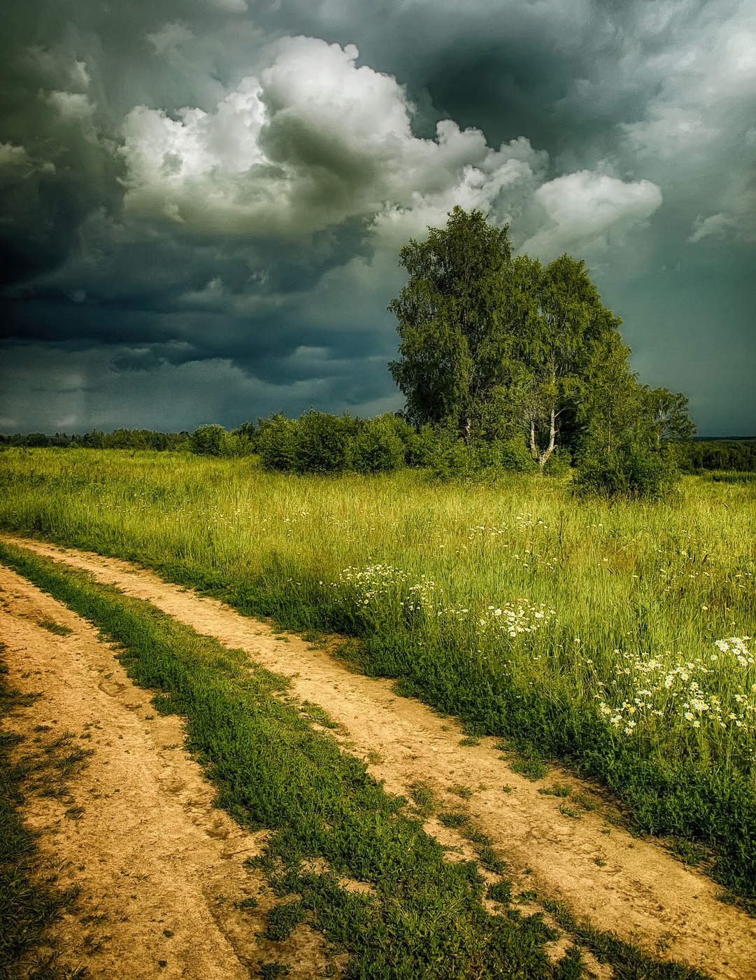 Перед грозой