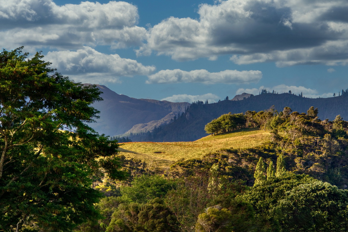 Полянка залитая солнцем