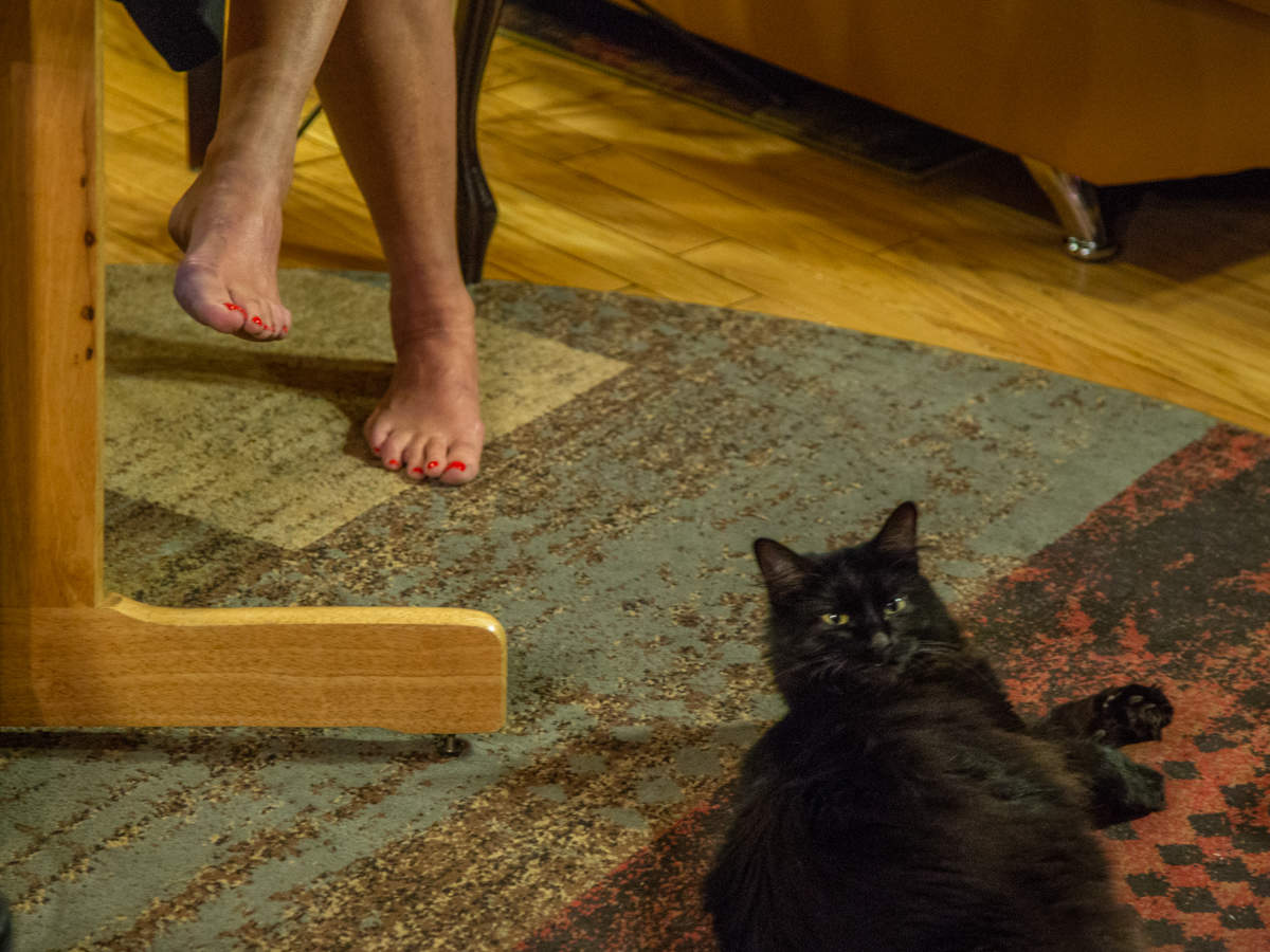 Своя история