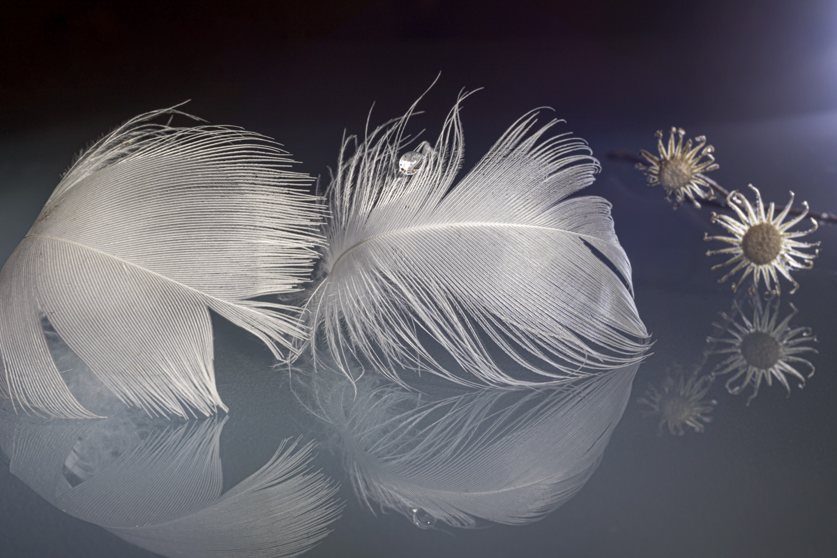 зимняя фантазия...