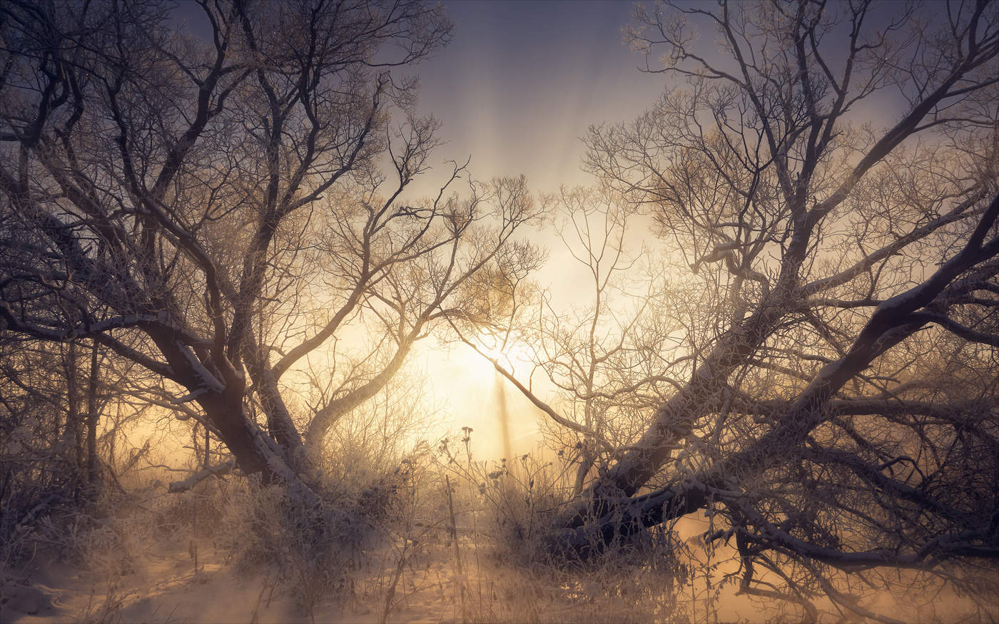 Хранитель рассвета.