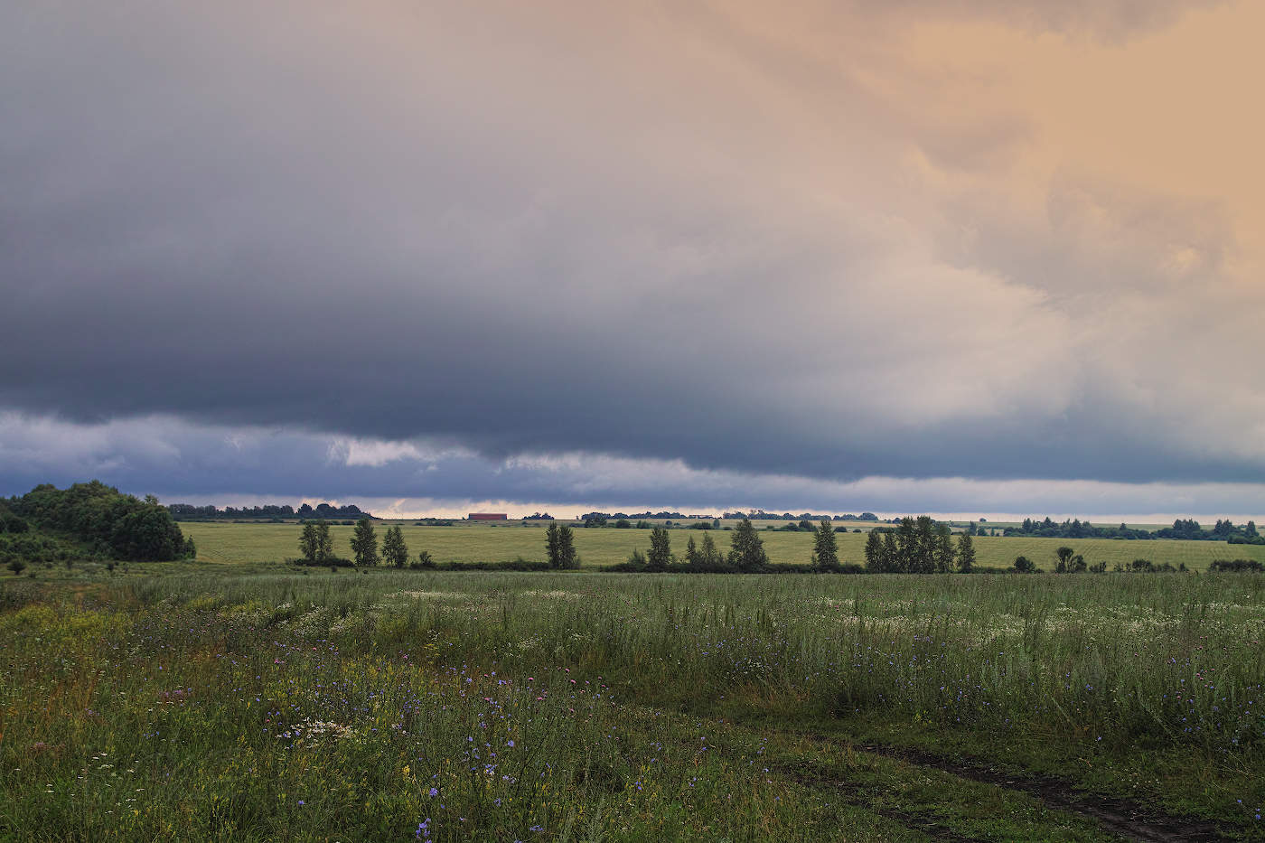 Надвигается гроза
