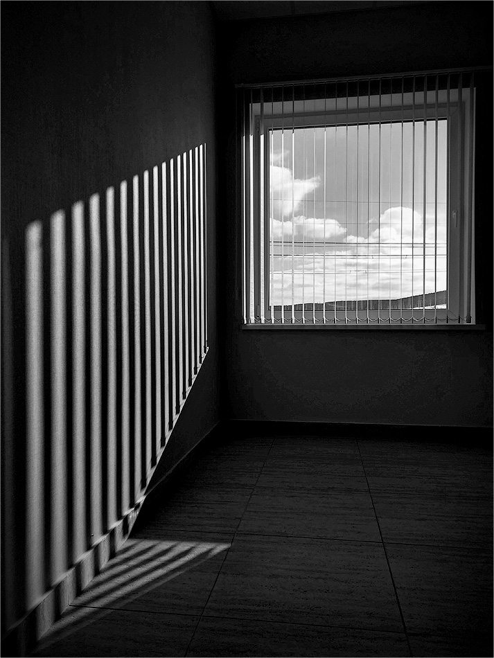 Без названия