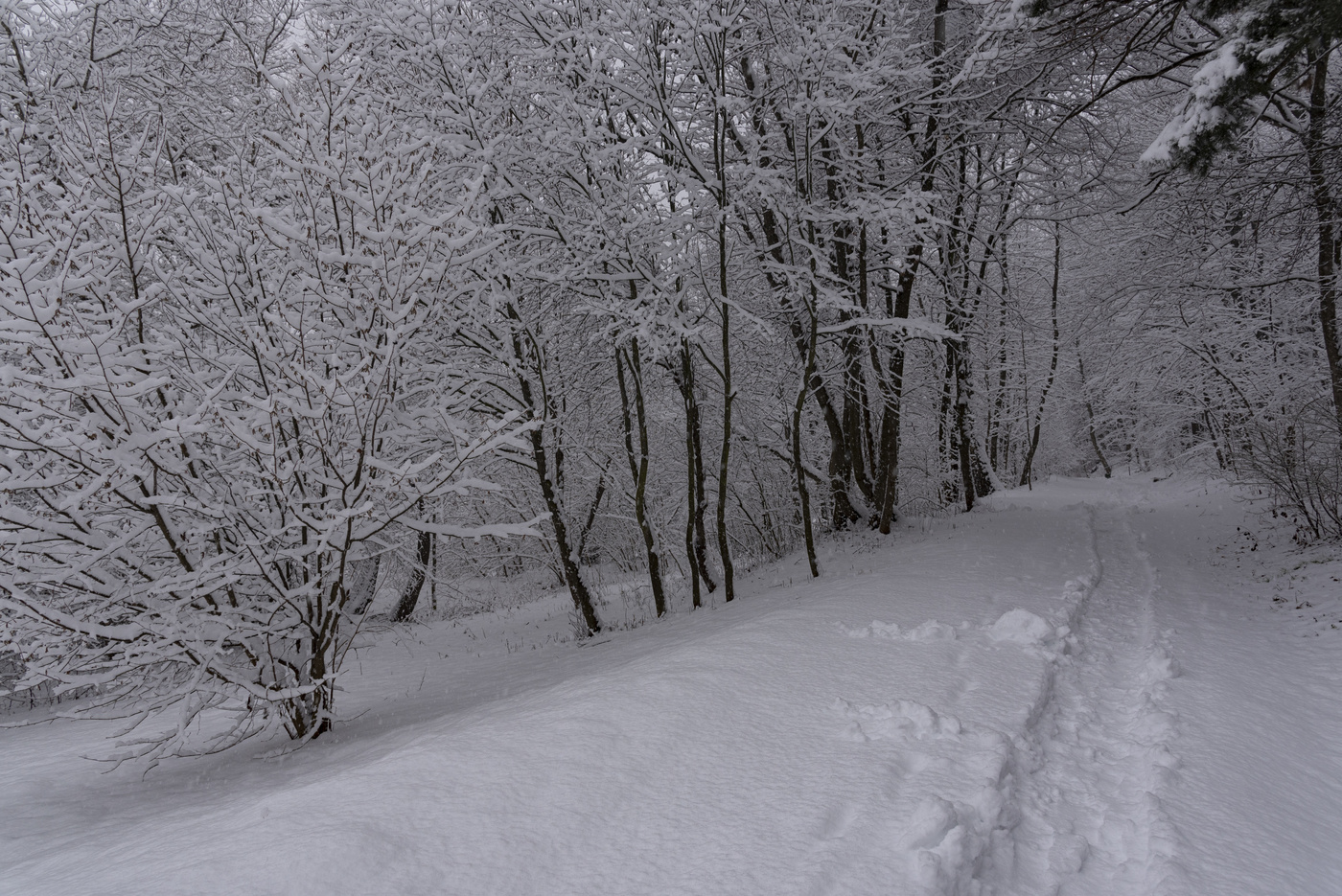 Грустный февраль