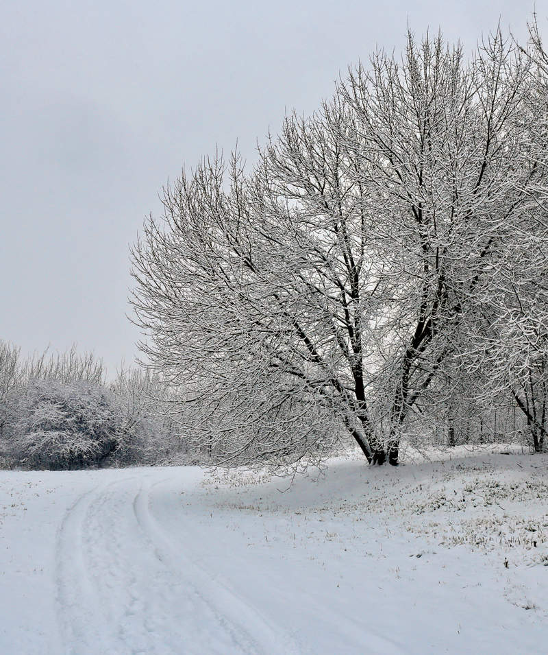Грустный февраль