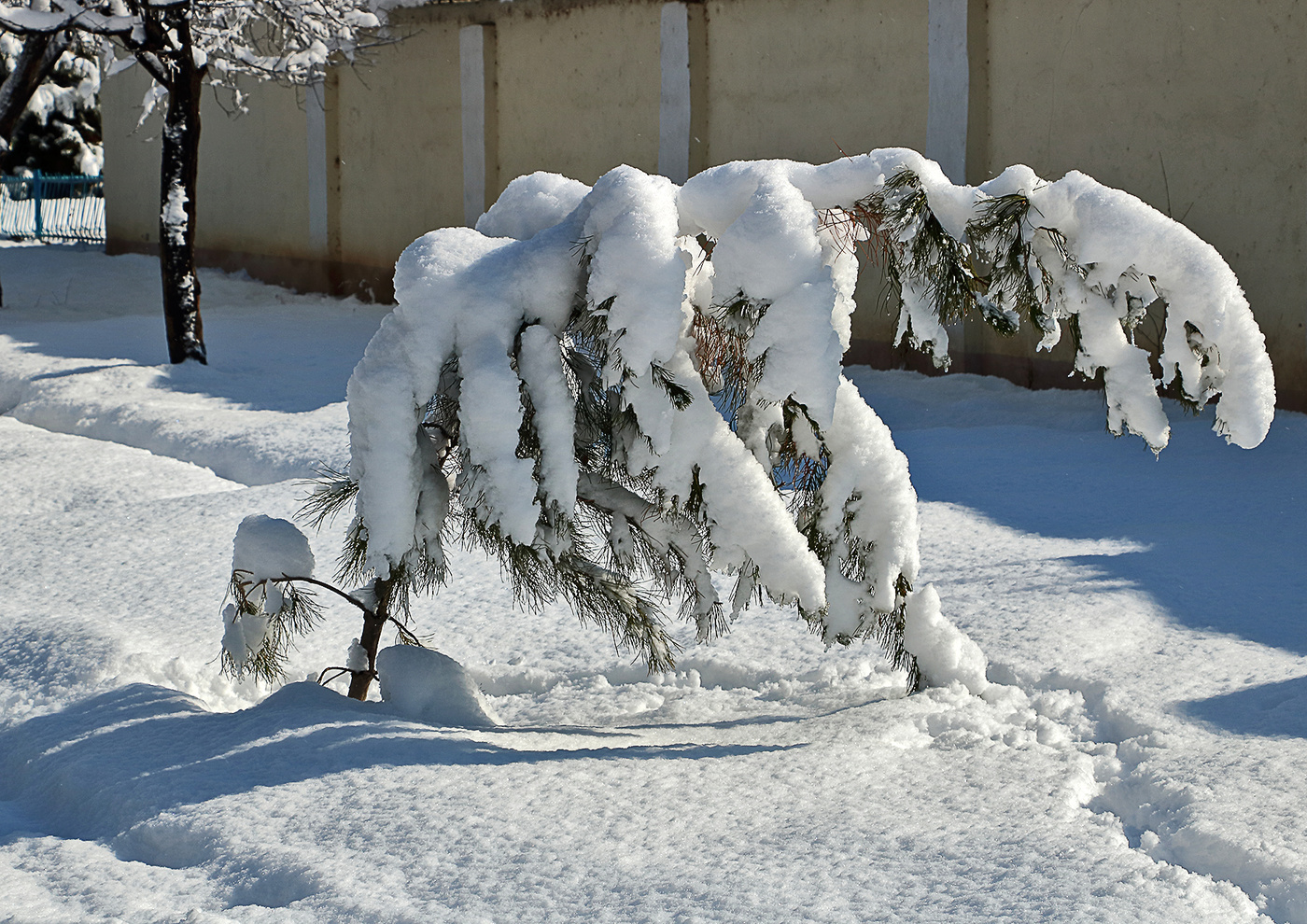 Грустный февраль