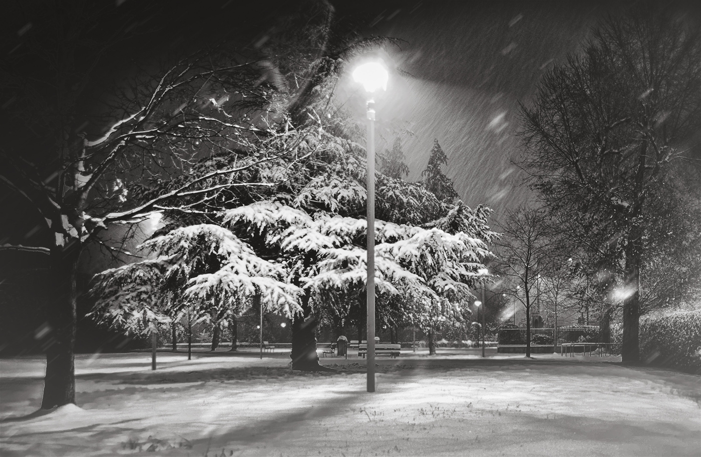 Февральский вечер