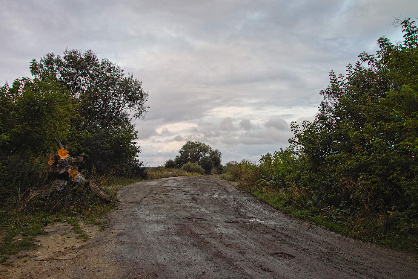 Деревенская дорога