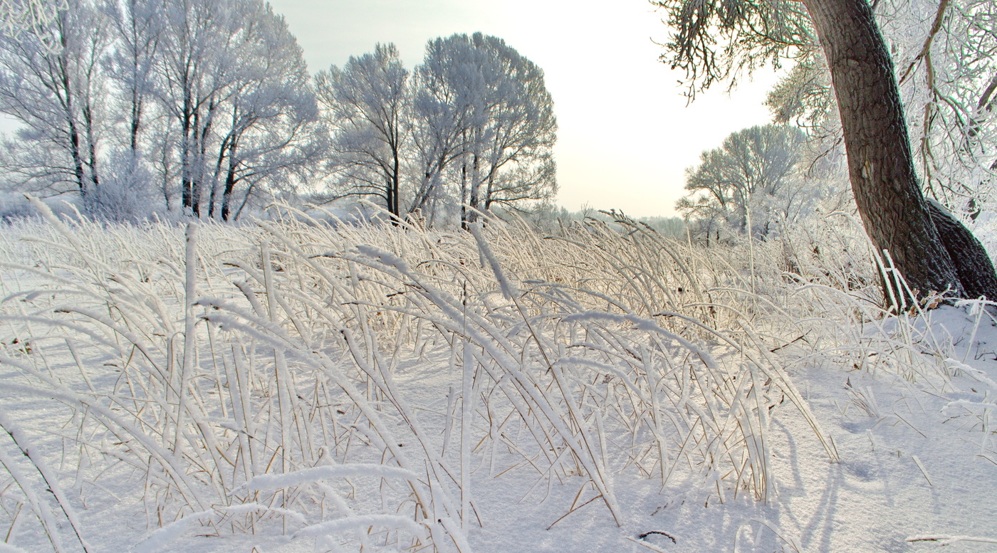 скучный февраль