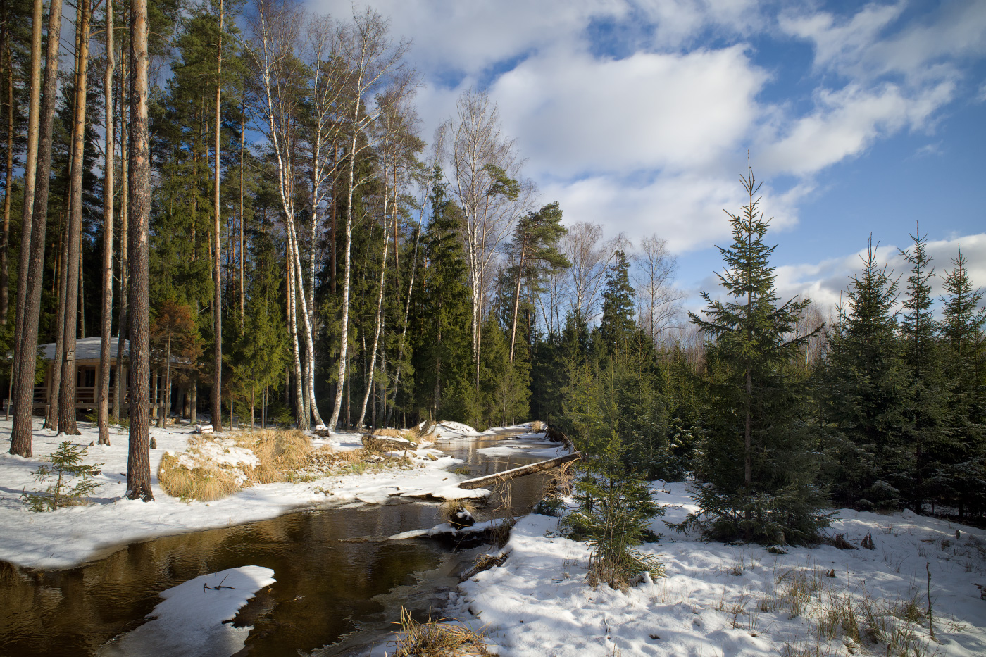 зимний день