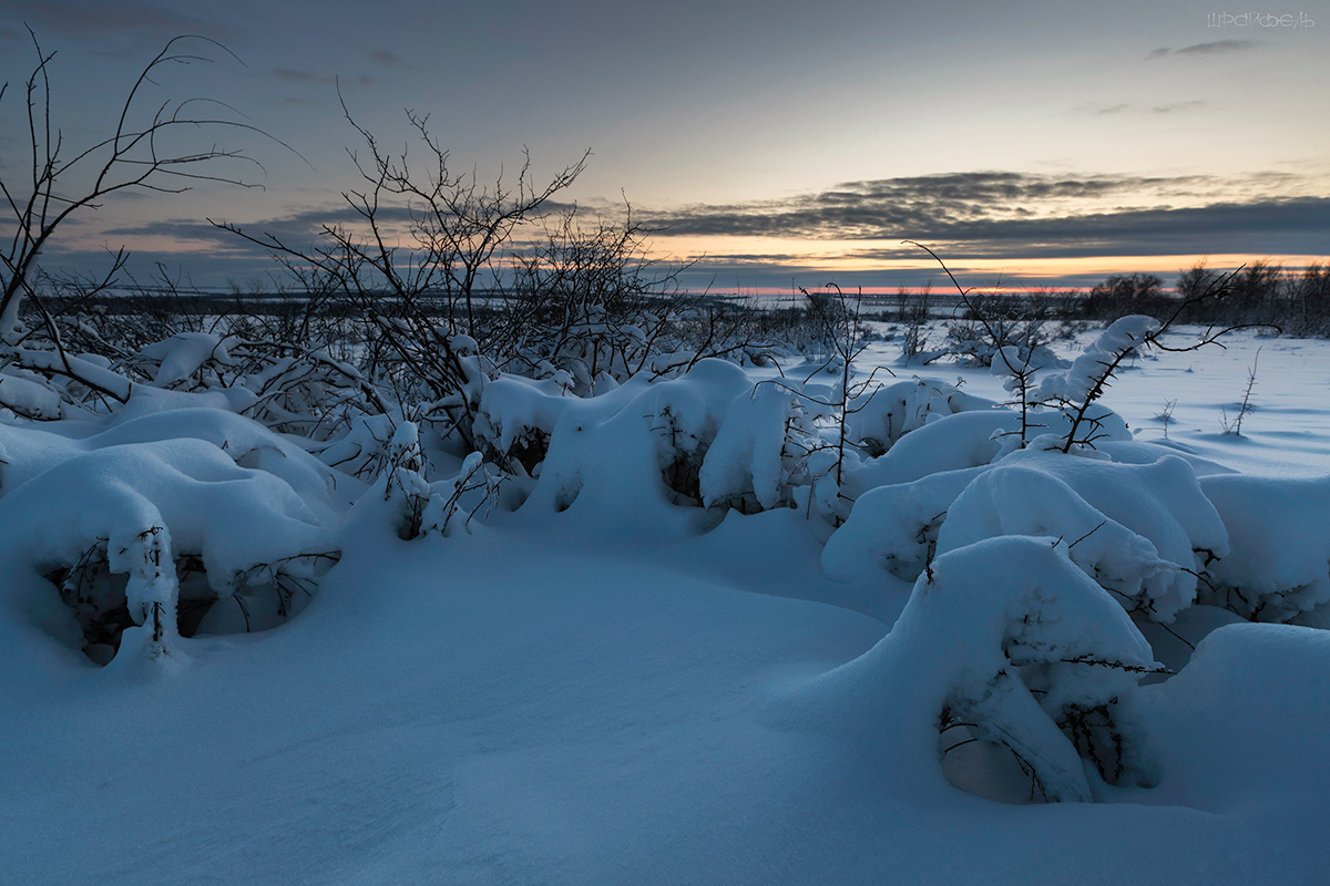 Рассвет 8 февраля