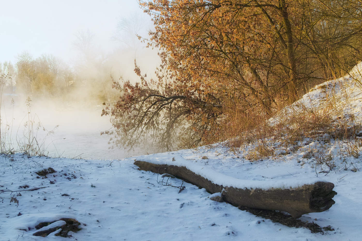 Ну вот и первые морозы...