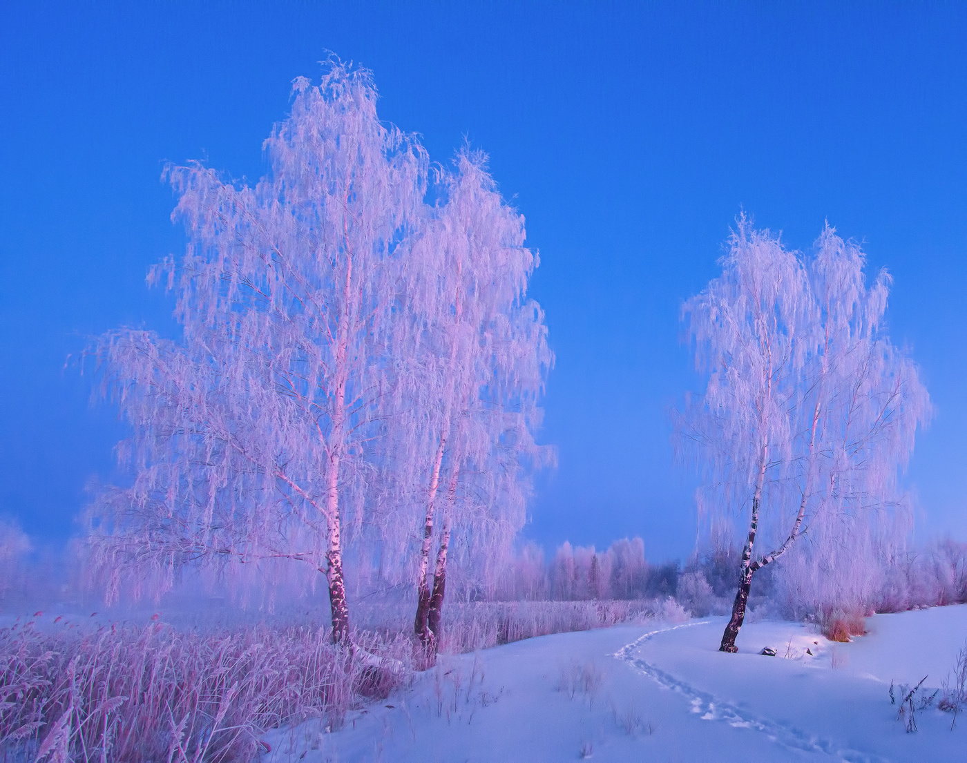 Морозное утро