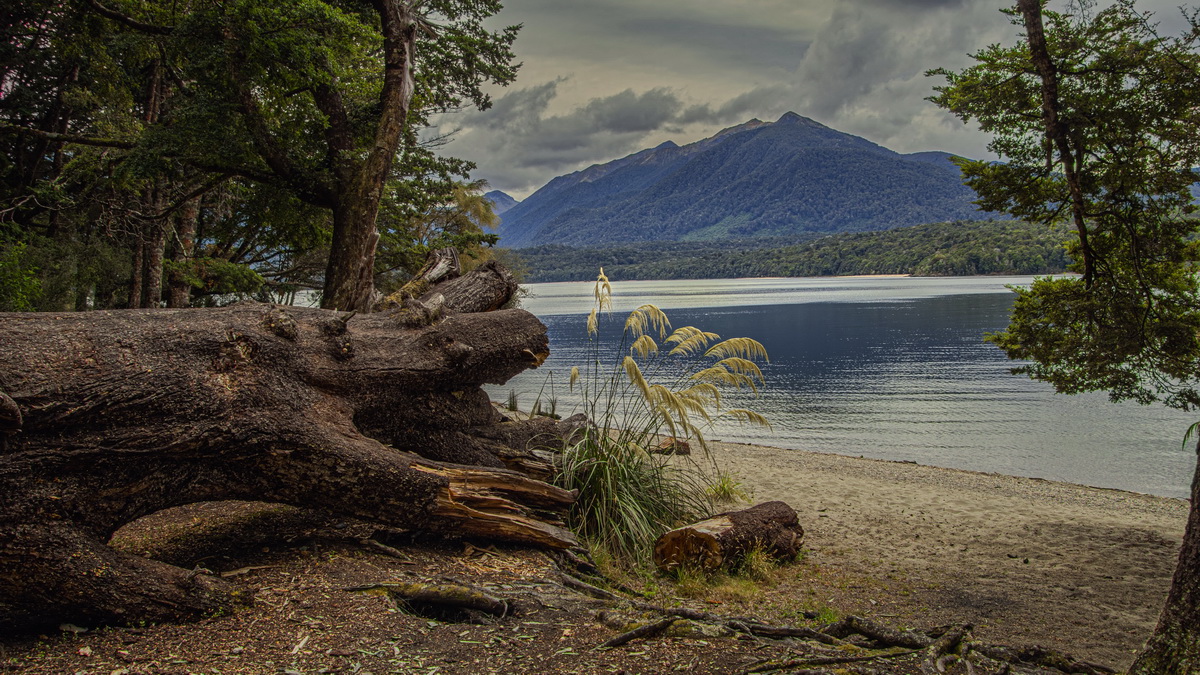 Пасмурный пейзаж