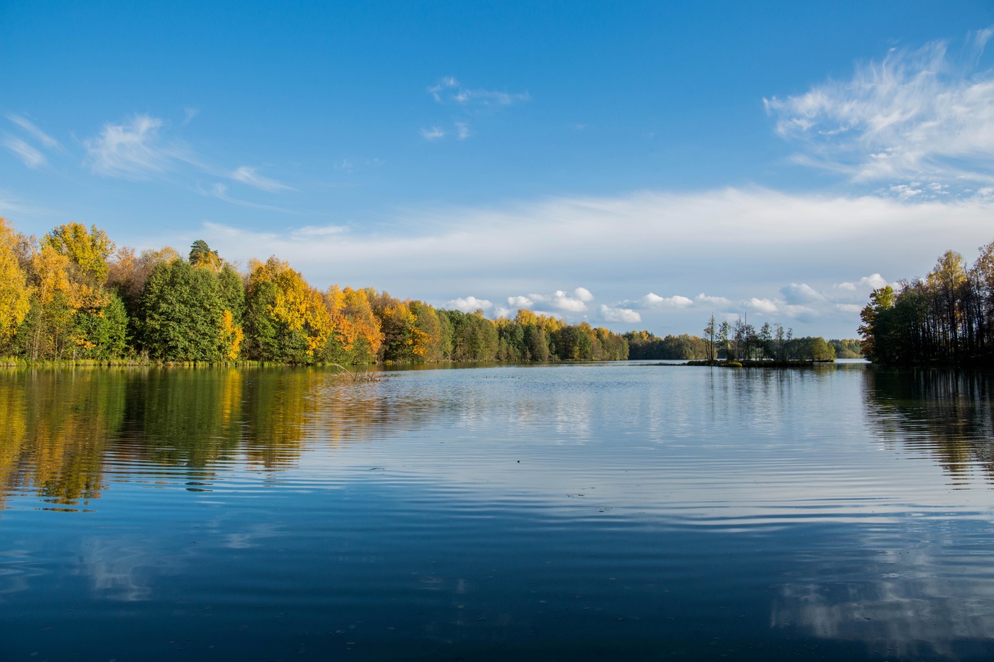 Осенний день