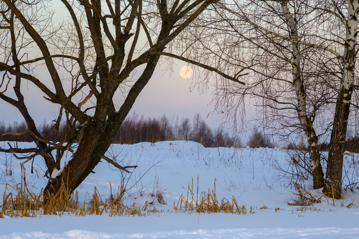 Притяжение полнолуния