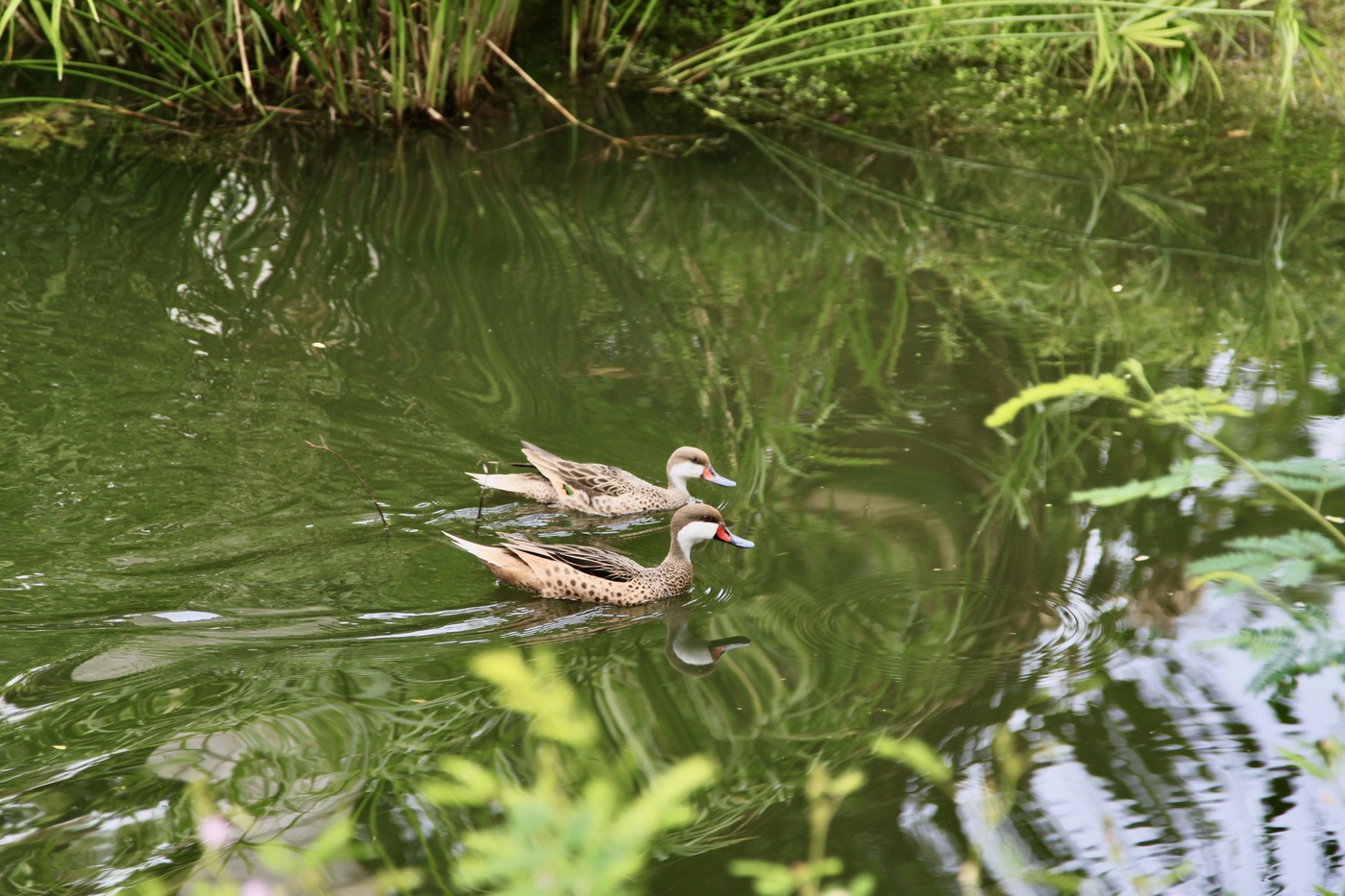 В преддверии Дня влюблённых