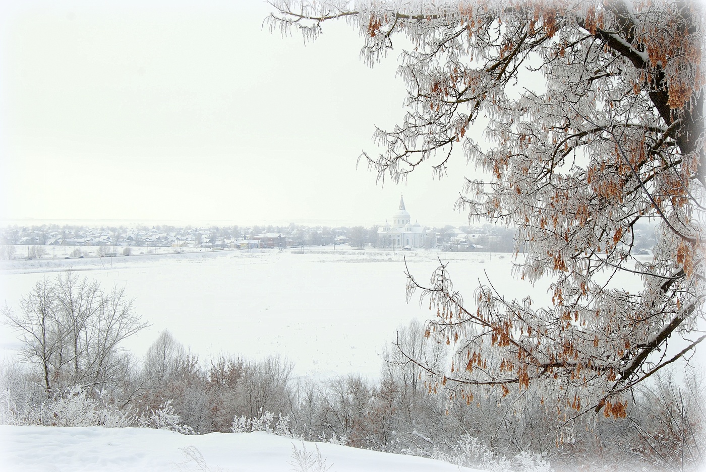 Белым палантином кроет все опять...