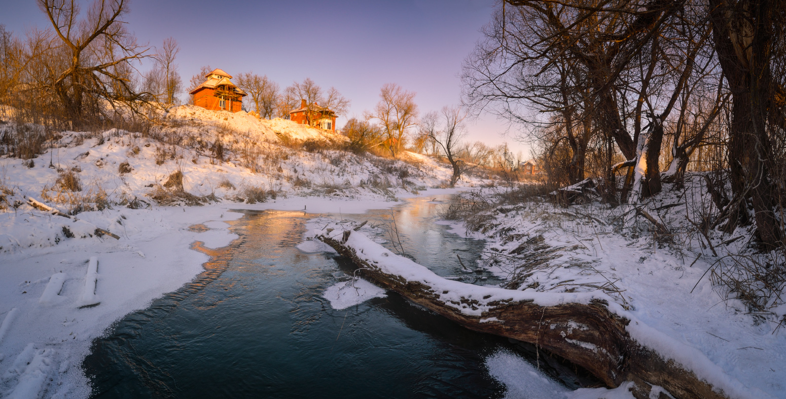 Тулица зимняя