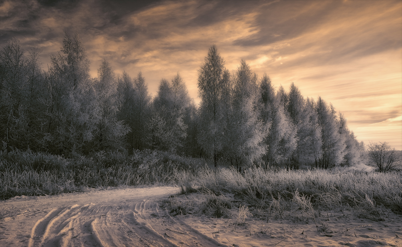 Дорогами зимы