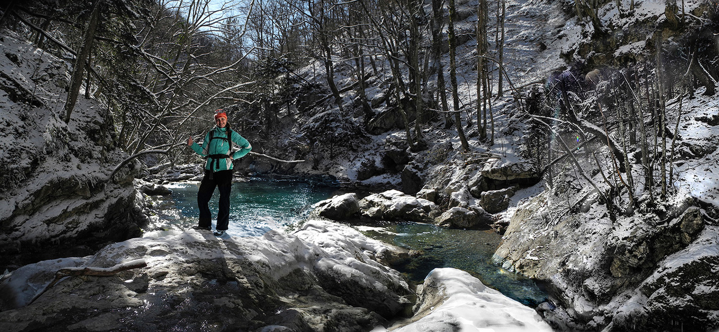 Лесной ручей