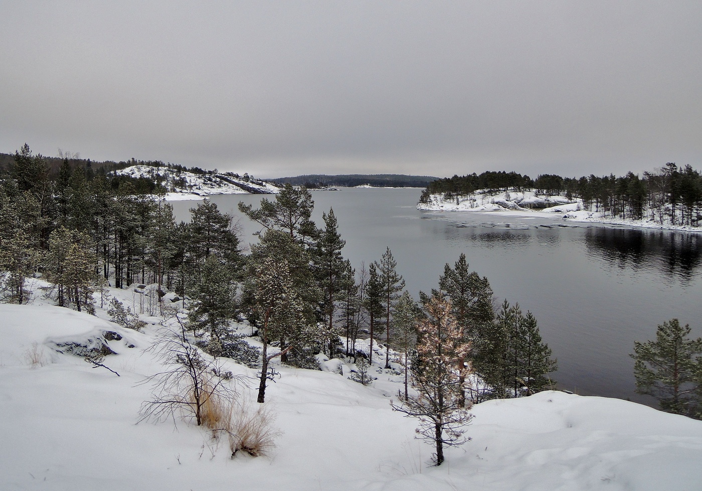 к Зиме в гости
