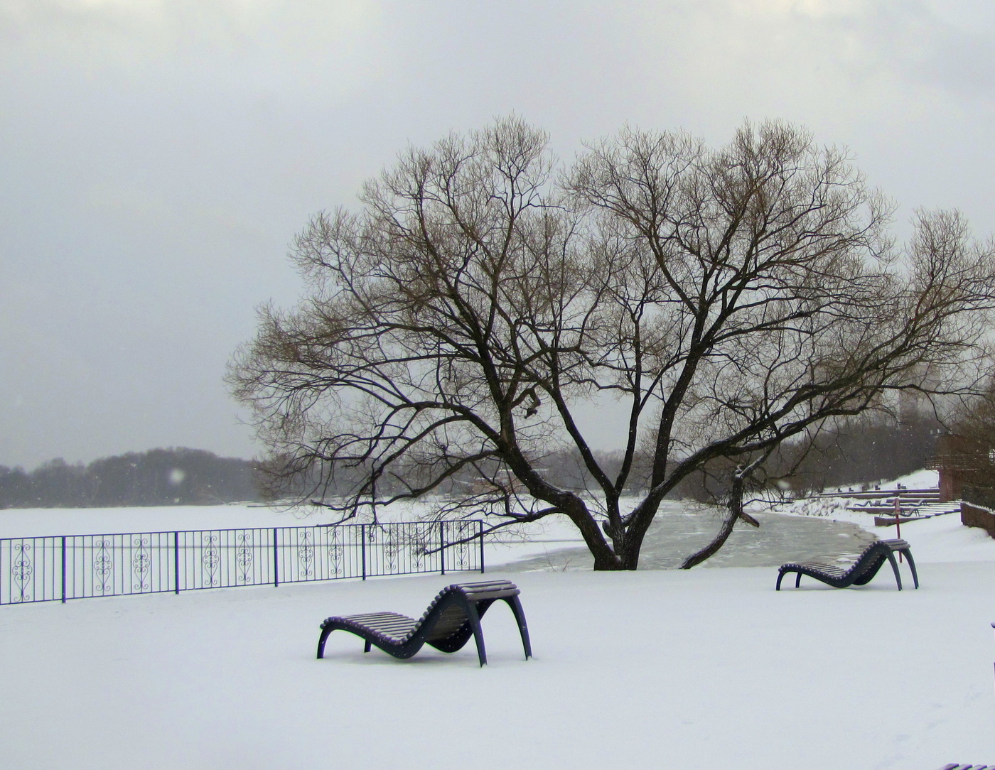 Зимний минимализм!