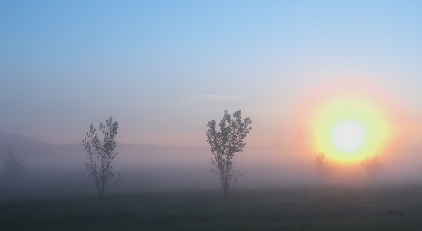 Кустики держат Солнце.