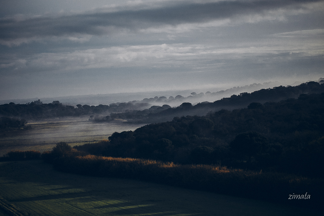 все то же утро