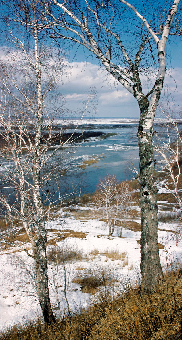 Грачи еще не прилетели...