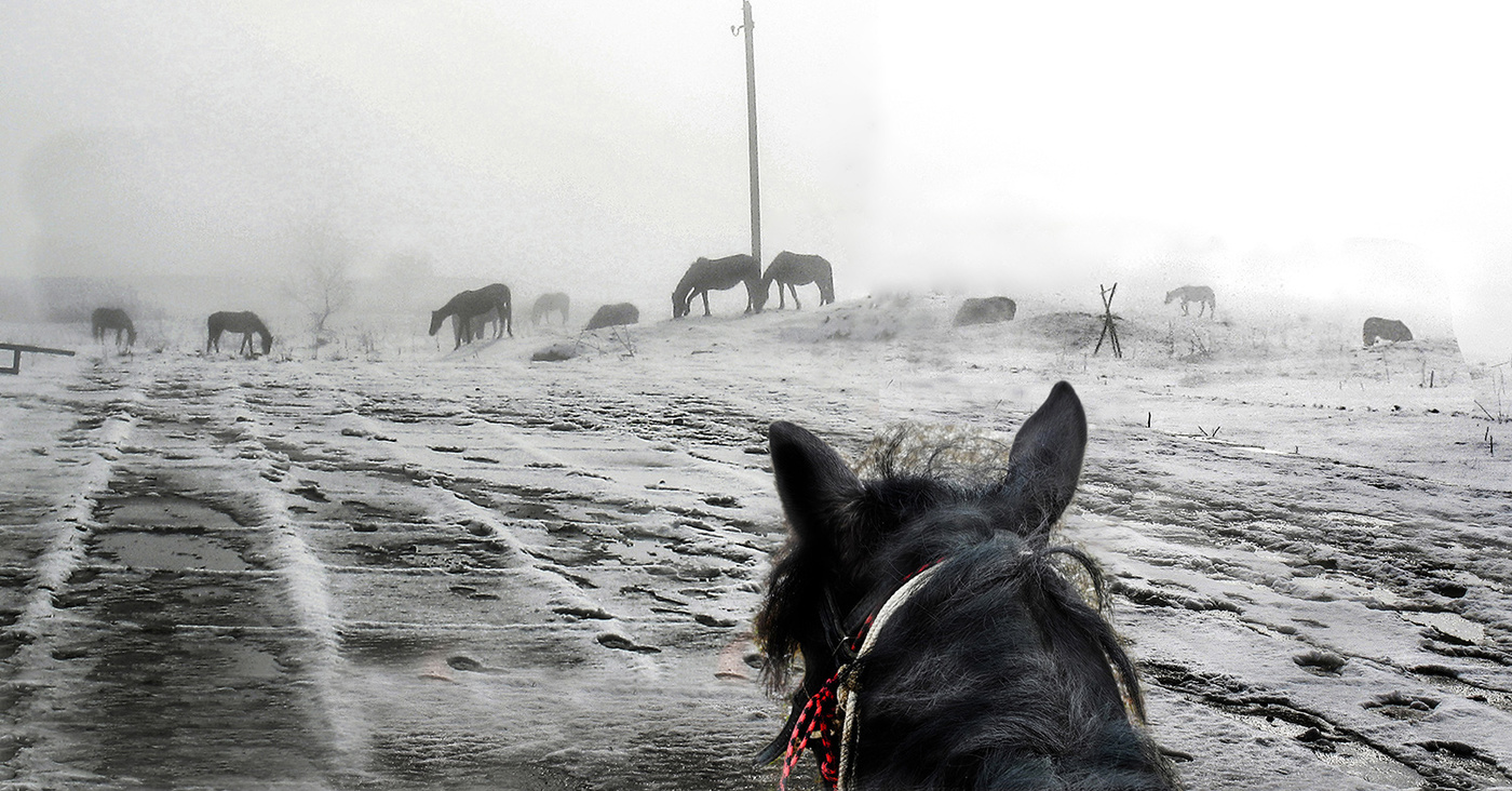 Лохматая каурка