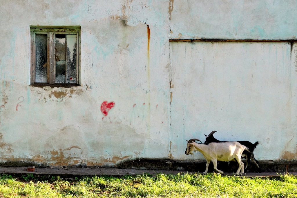 Влюбленная пятница