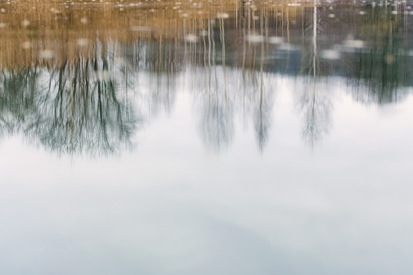 Зазеркалье